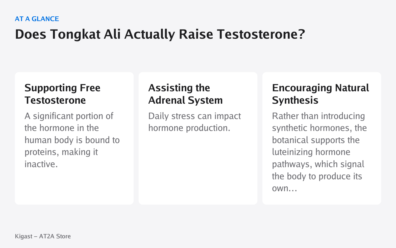Infographic: Does Tongkat Ali Actually Raise Testosterone?, covering Supporting Free Testosterone, Assisting the Adrenal System, Encouraging Natural Synthesis